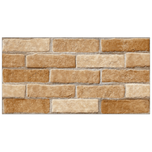 Revestimento Silicato 31 cm x 60 cm Angelgres