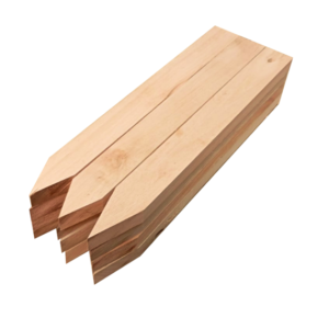 Estaca De Madeira Maciça 50 cm Dúzia Eucalipto Neon